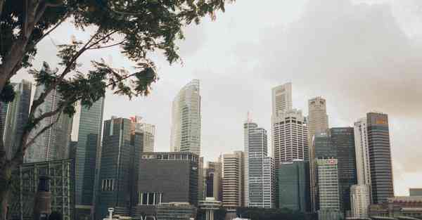 智能快速装配机器人