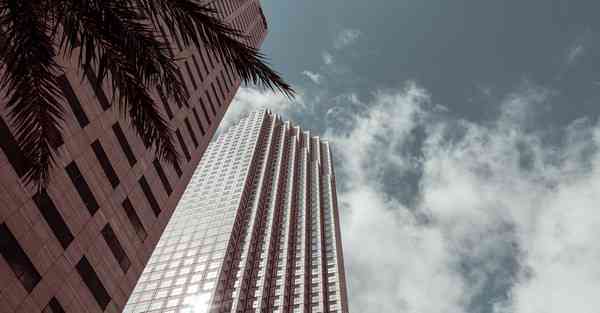 外国语单招大数据的行业文章