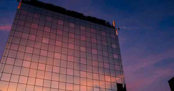 外国语单招大数据的行业文章