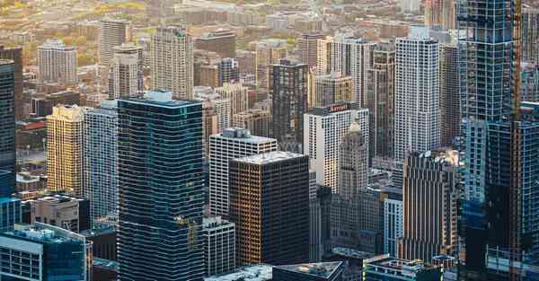 外国语单招大数据的行业文章