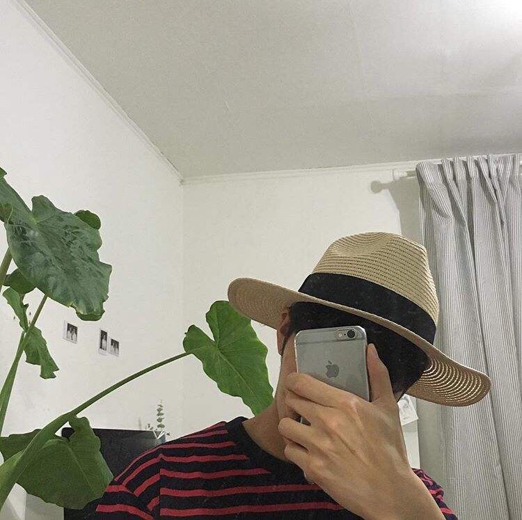 应鸿羽咏