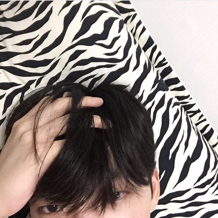 赵林霄竹