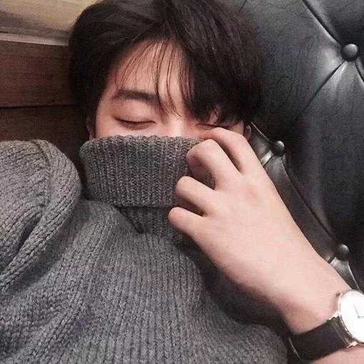 闻人澜亨枝