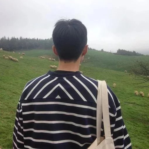 向昌婷钧