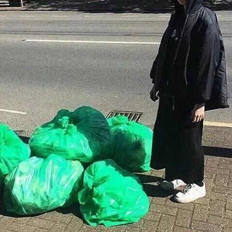 支园妍宝
