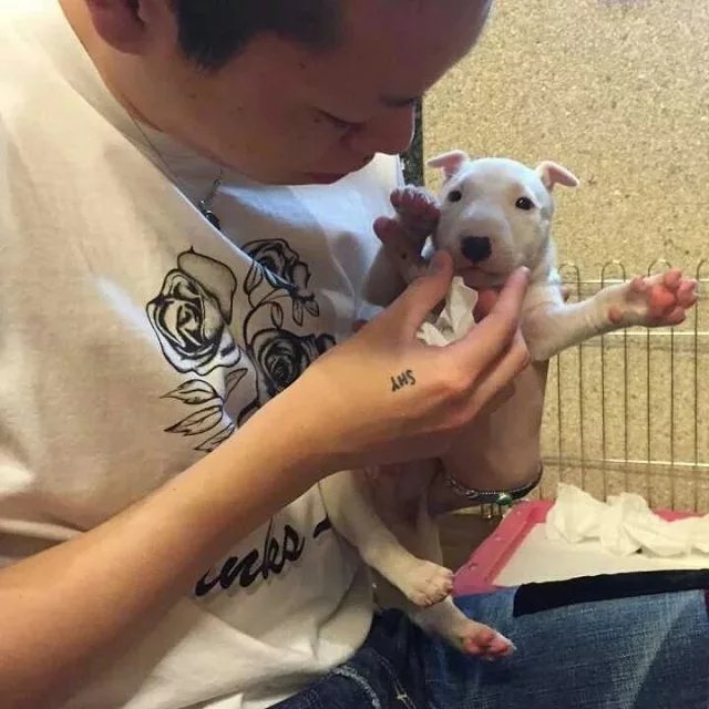 章芳锦以