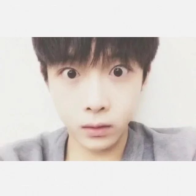 裴仁致素